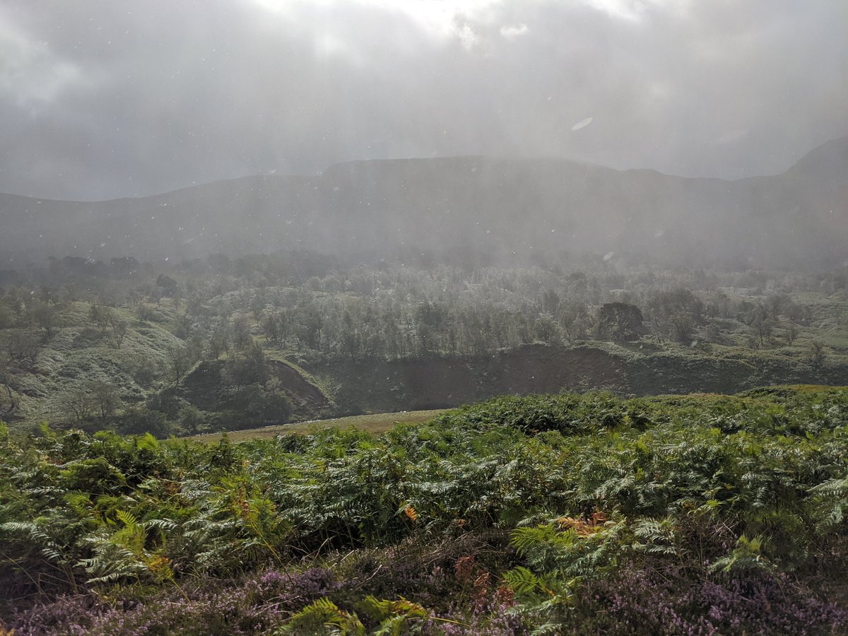 More rain and insane wind. What happened to the Met Office forecast for today which showed a sun all day and 10% chance of rain. Aaaaahhhhhhhhh. 9/