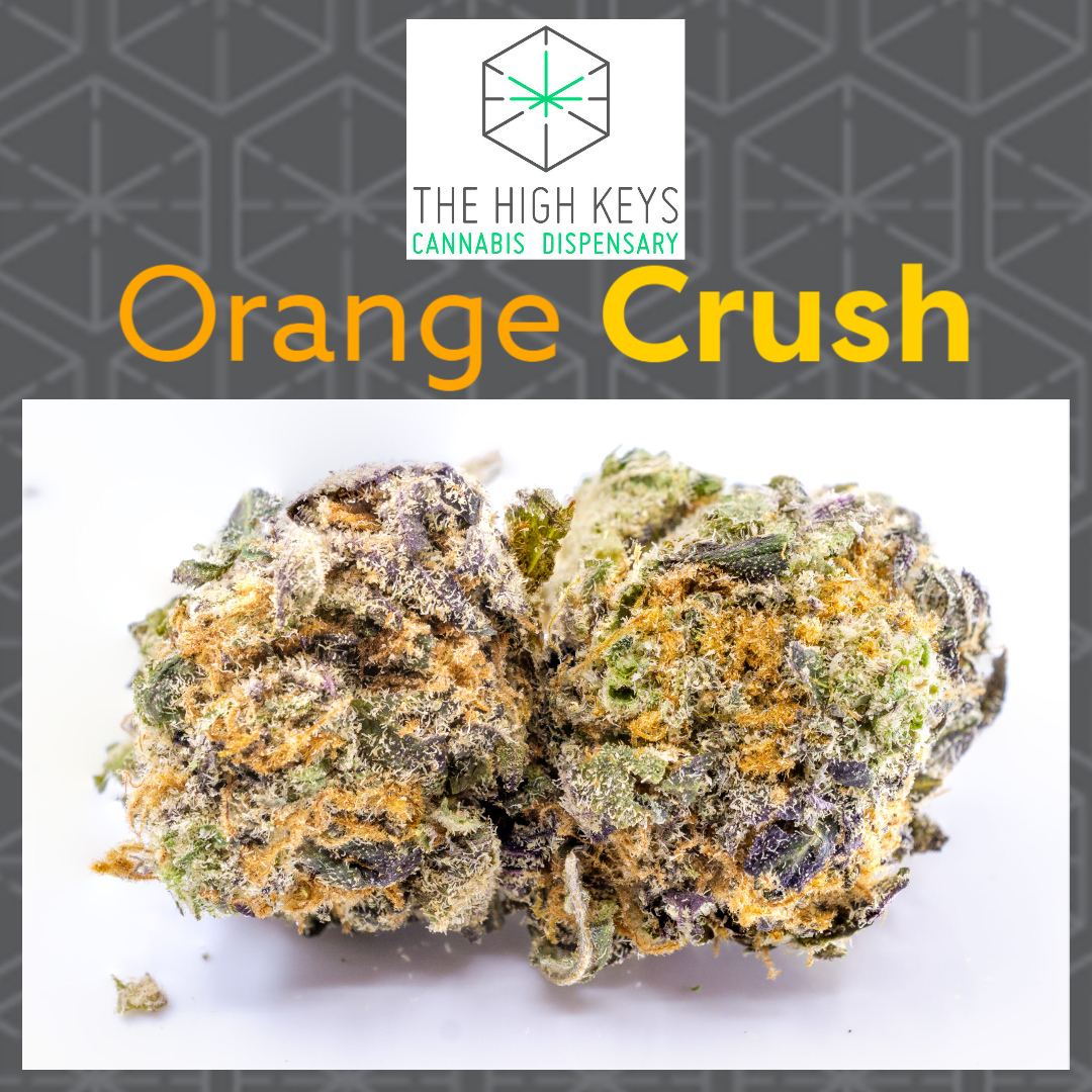 HighKey420's tweet image. Strain - Orange Crush 🍊🥤⁠
⁠
This is a super citrus reeking strain.⁠
Amazing flavours, one of the best Sativa strains you'll be able to smoke.  
⁠
bit.ly/2Cz3vLg

 #instagood #love #beautiful #summer #photography #marijuana #cannabiscommunity #weed #thehighkeys