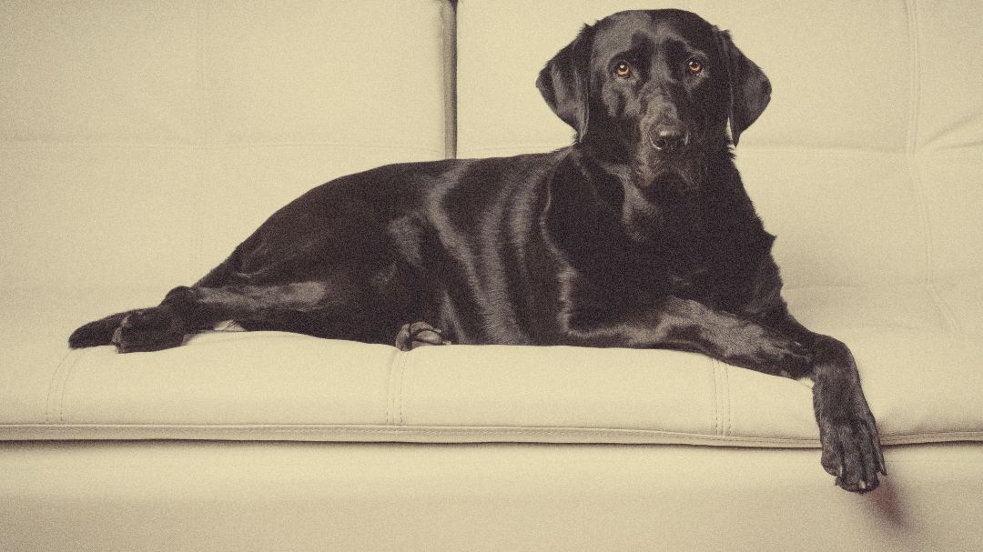 If you love the look of analog film, check out the latest article on our blog. Our latest written guide is a great resource for learning to apply beautiful, realistic grain effects in Exposure.

exposure.software/blog/2020/grai…
Photo by <a href="/clickmypix/">PoojaPhotography</a>