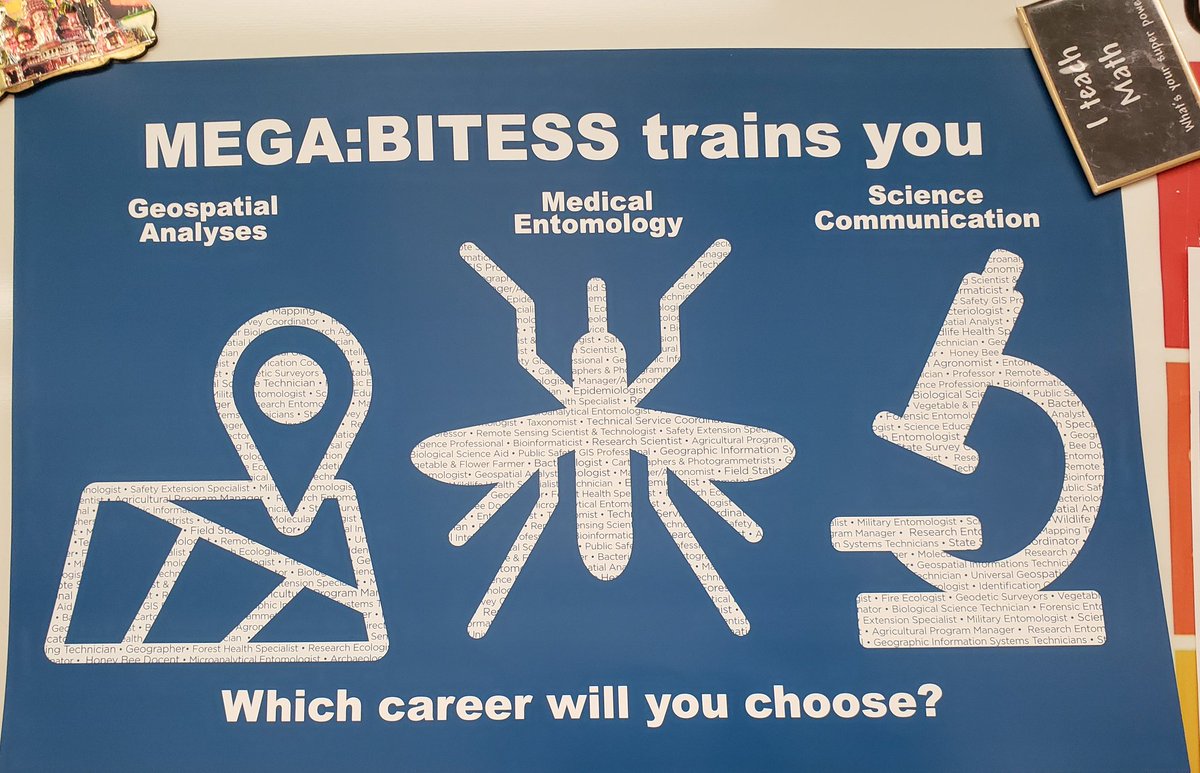 mrsbutterfield6's tweet photo. The stinky water is brewing and I'm getting excited about starting up #MEGABITESS for this school year! Watch out #mosquitos @beardenmiddle  students are coming for you! @waldronclass @DrVectorBio @mcamponovo @jrosenberg6432 https://t.co/NiS0v4gtfL