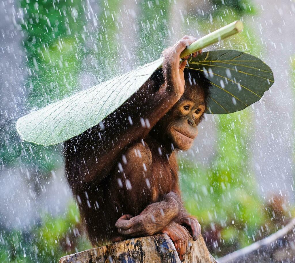 The Best Pictures tweet media