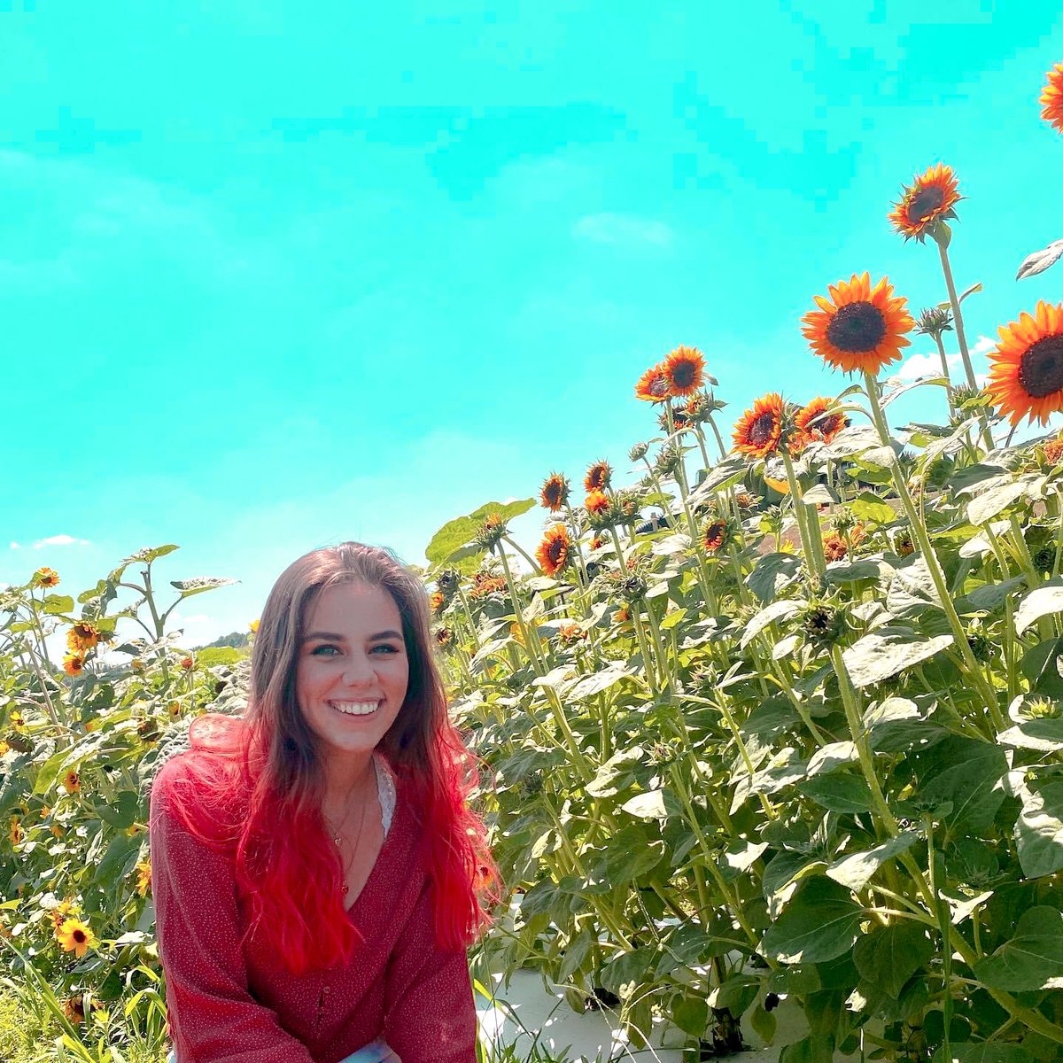 ☆Quote of the day: Whatever you plant, may it bloom with Grace! Sister Grace and sunflowers are our favorite combo☆

#gmukappadelta #gopanhellenic #gokd