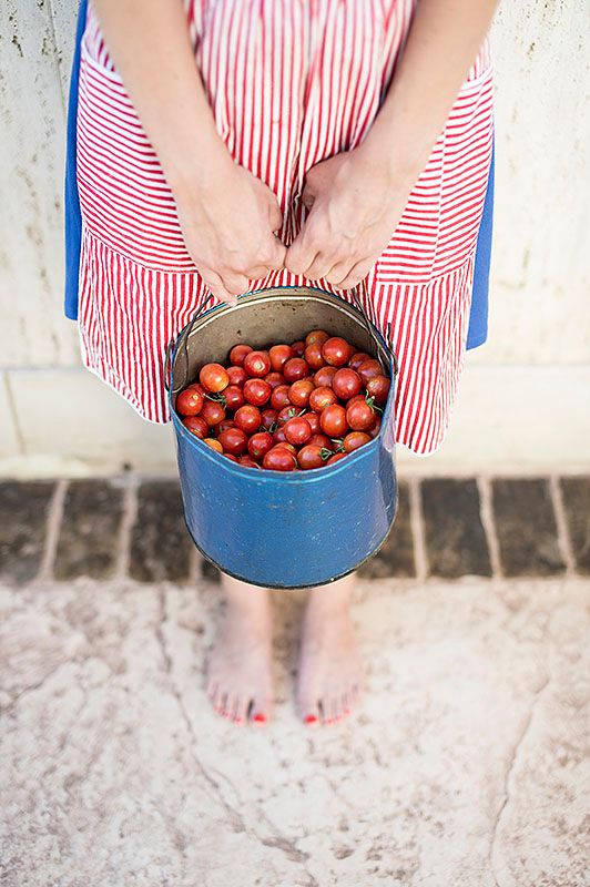Tomatoes are in PEAK season right now. We know that a good tomato can make any sauce or dish better, but what about the #healthbenefits ?

🍅 Tomatoes are a great source of vitamins
🍅 They help with #hearthealth and #eyehealth
🍅Helps make skin glow