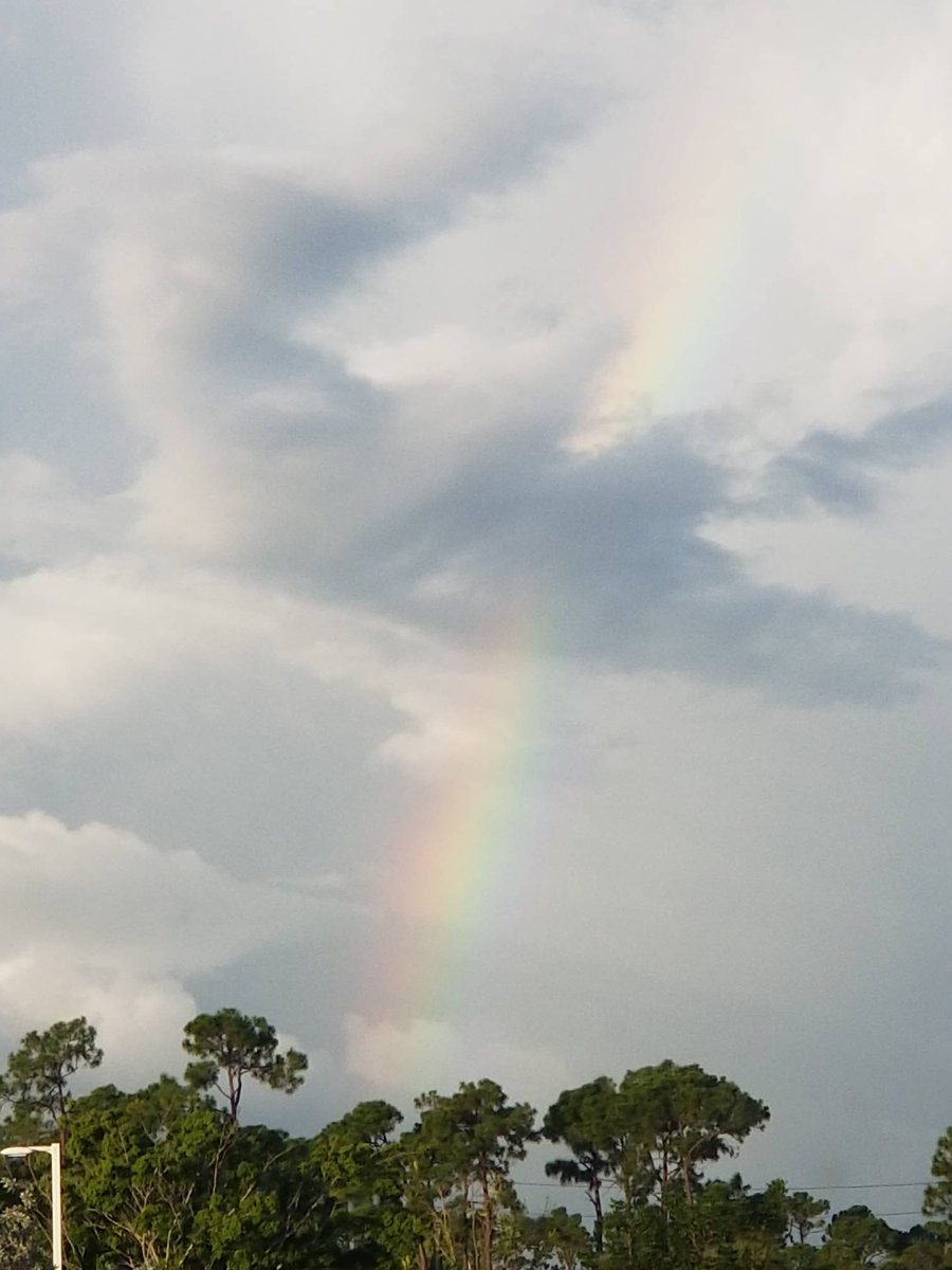 hap_llc's tweet image. Cross platform testing