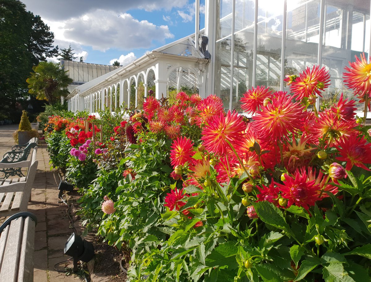 A family of 5 can enjoy Birmingham Botanical Gardens for a whole year for just £65. A single adult membership, £40 for a year, also admits a family guest. Pensioner and student discounts also available. Become a member and support an independent charity.  birminghambotanicalgardens.org.uk/become-a-membe…