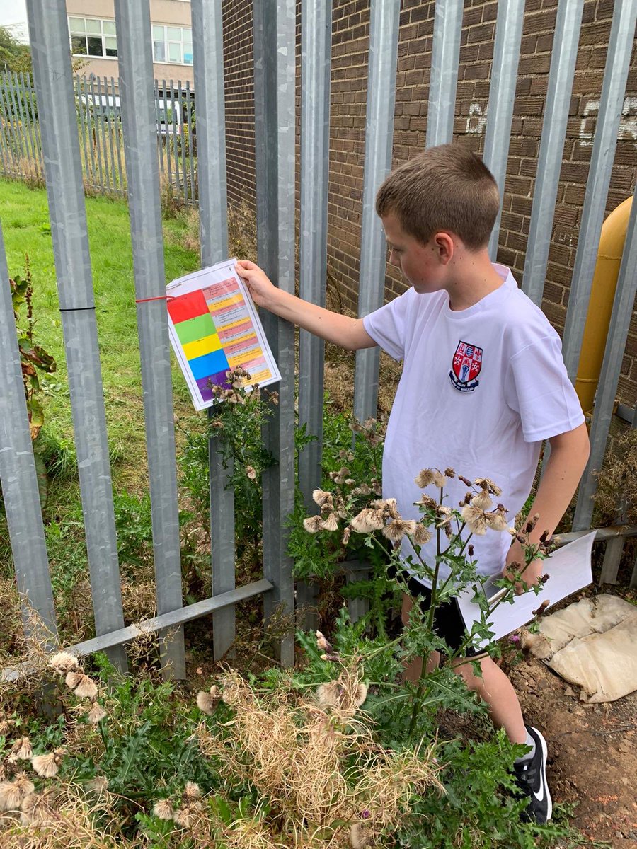 OLHS_PE's tweet photo. Fantastic to get pupils active and involved in sports again. Made the most of the good weather today with some Inter-Disciplinary Orienteering! Pupils using their school map to locate a variety of worksheets with questions from a range of different subjects! Great effort team! 👏 https://t.co/isODyfs0nb