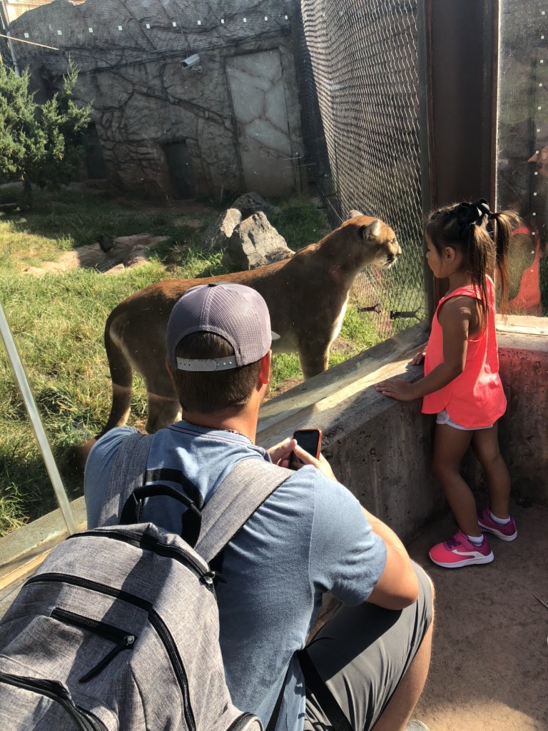 ml_webster's tweet photo. “We’re going to the ZOO?! Yaaaay!.....But I better not see a camel there. I like everything but camels.” https://t.co/vDgfNxHgKi