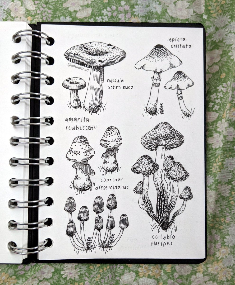 ez(ra) 🐟 tweet media