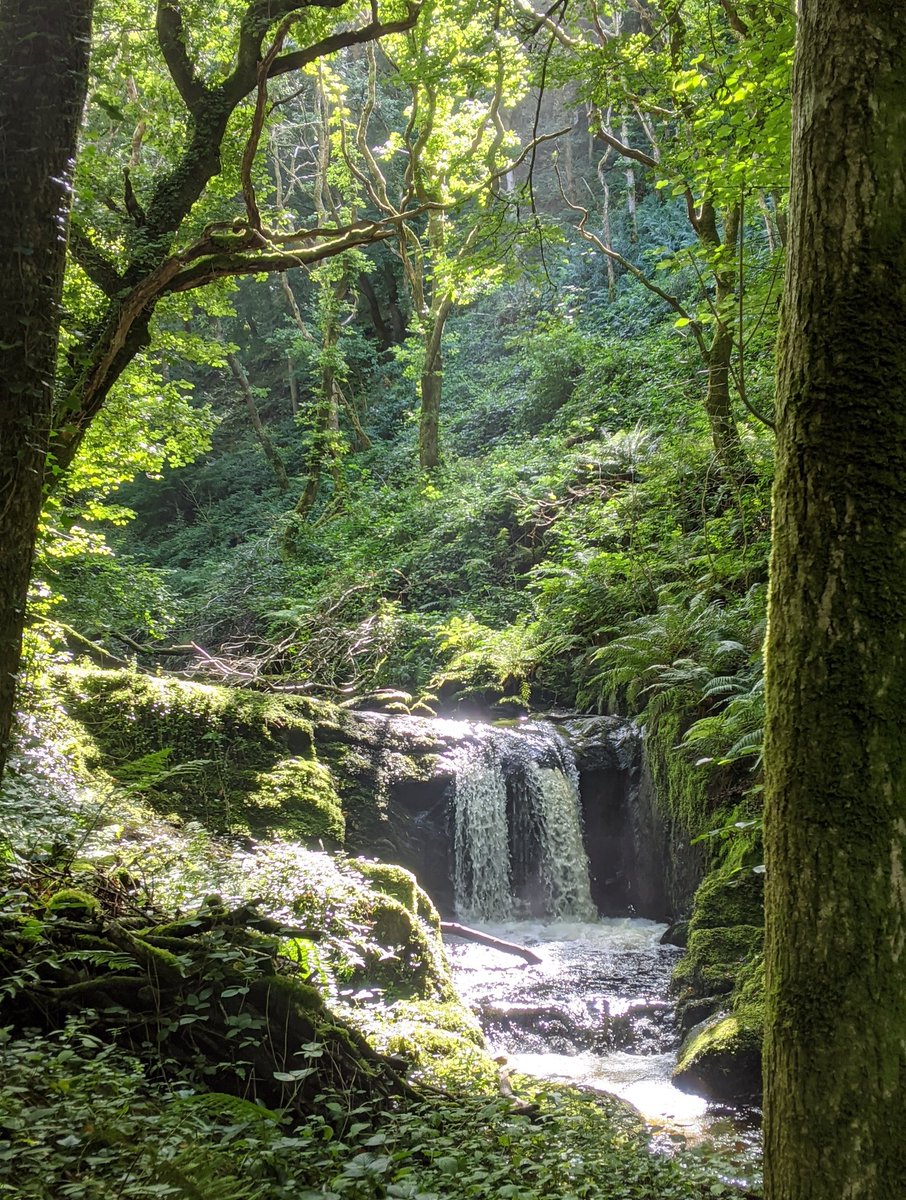 ez(ra) 🐟 tweet media