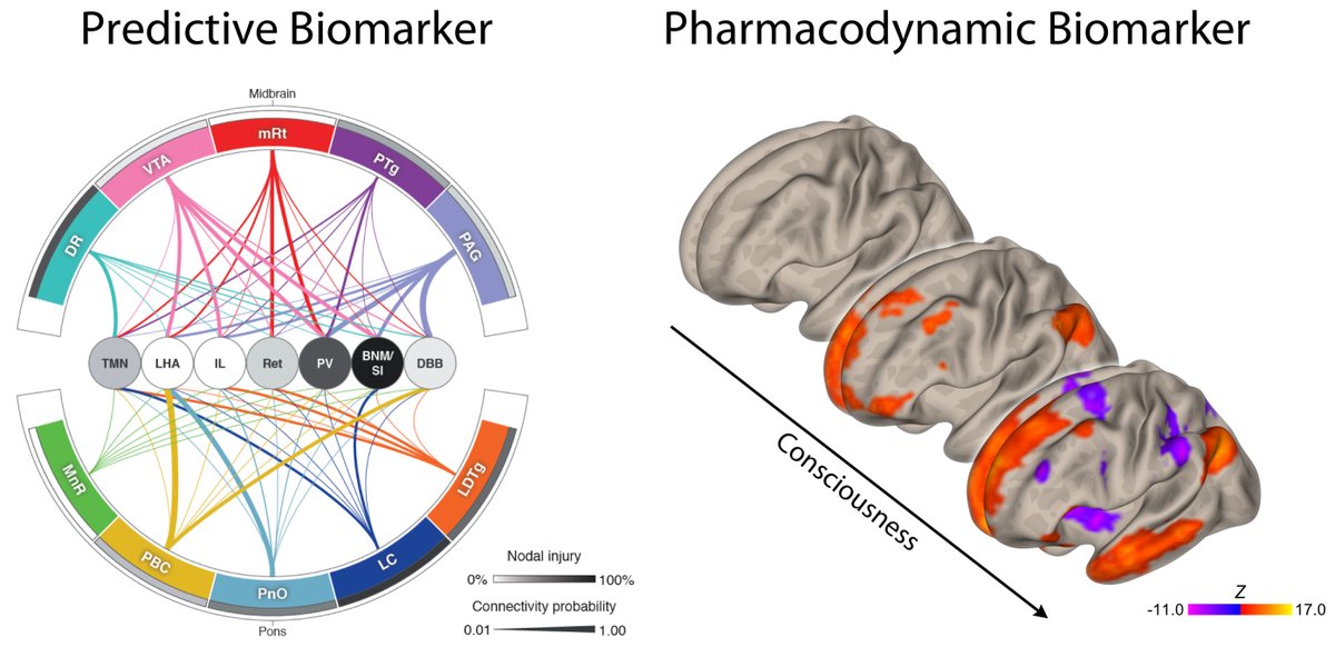 Brian Edlow tweet media