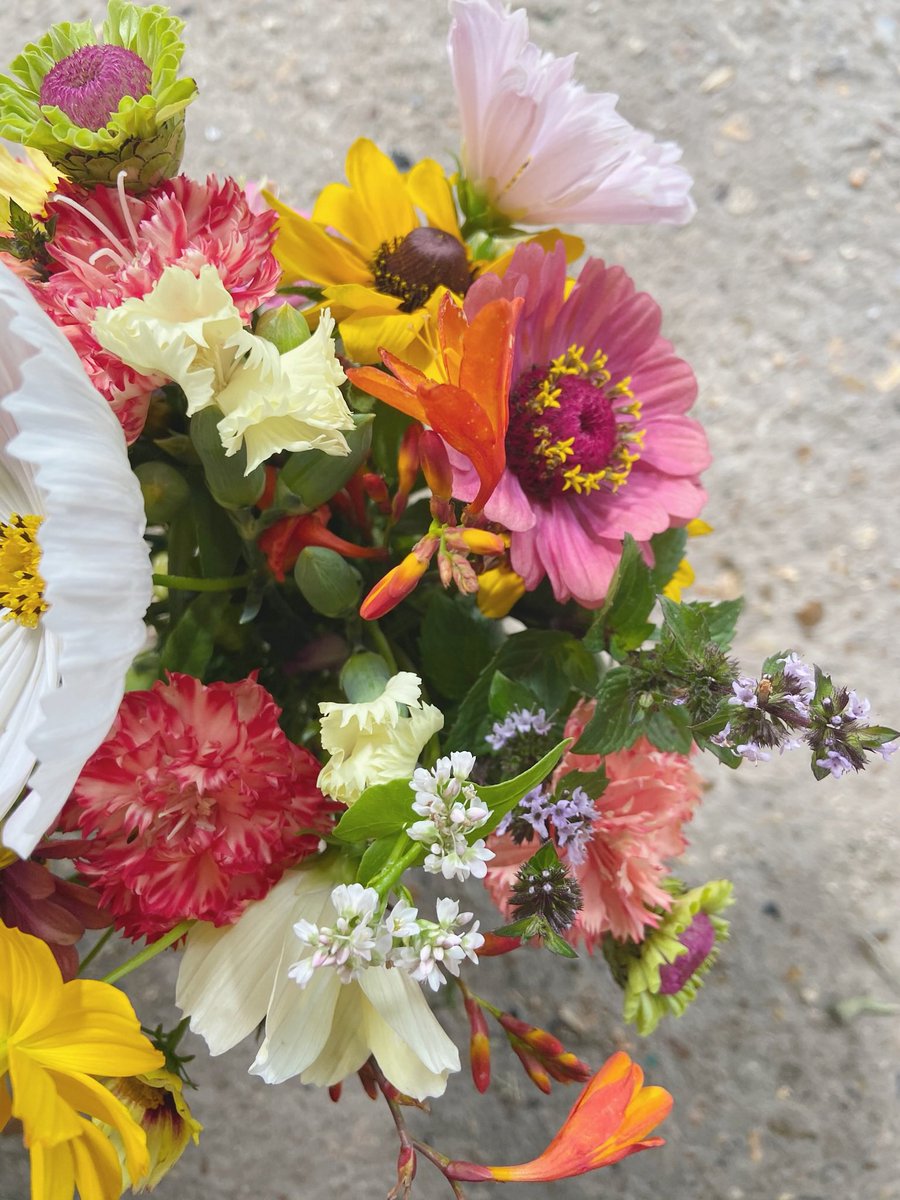 Lisa Dew, Rose Florist tweet media