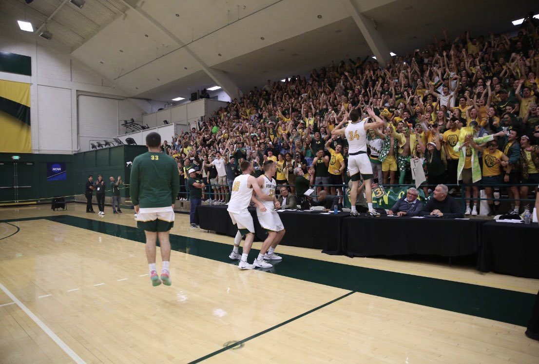 TeamRHJAZ's tweet photo. This is a D2 Arena 💯😎 D1 or bust is a Myth‼️

Golden Gymnasium, @plnubasketball https://t.co/6ynYkG3tg8