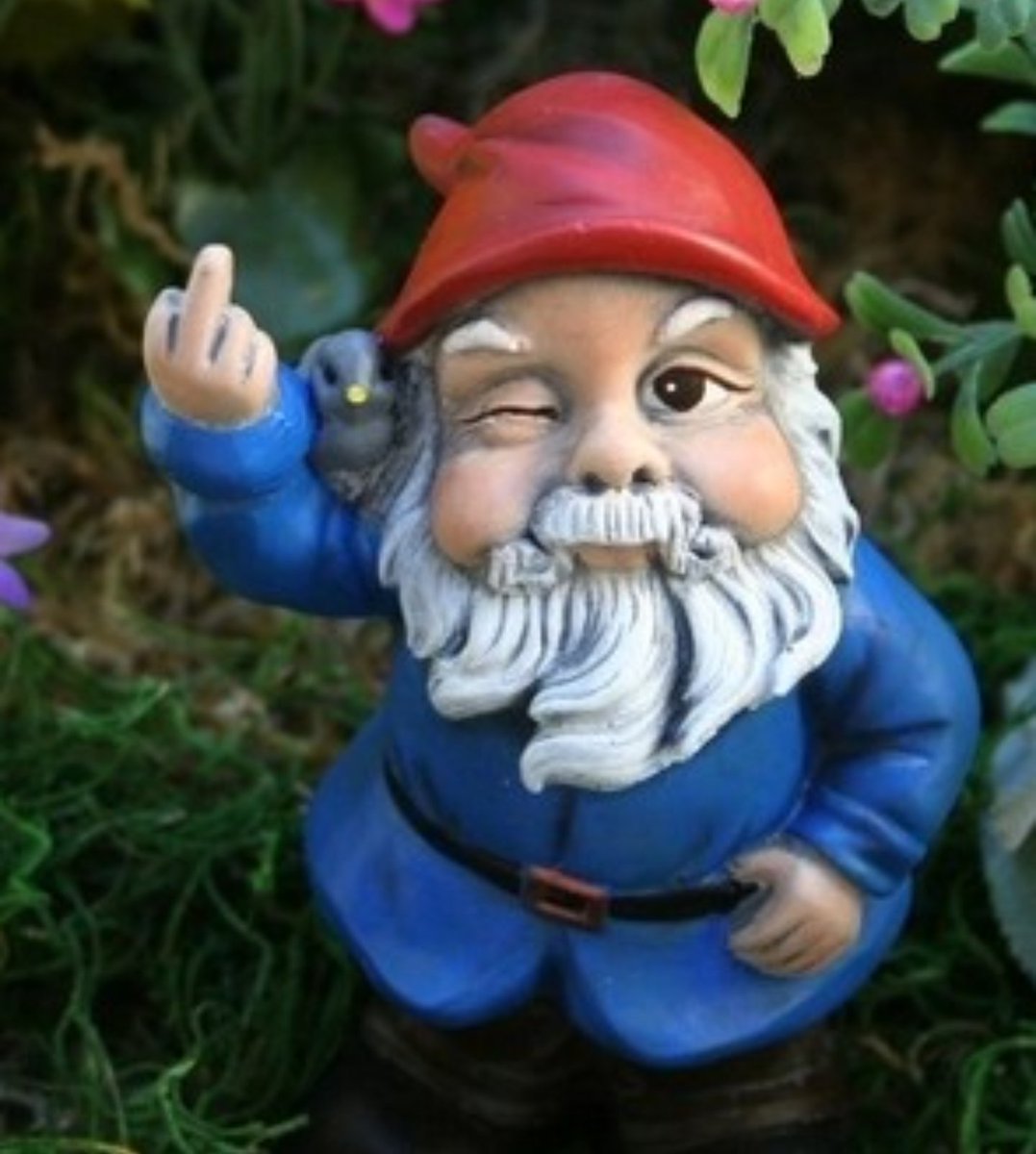 Gnomes.Michael Conlan & a Gnome