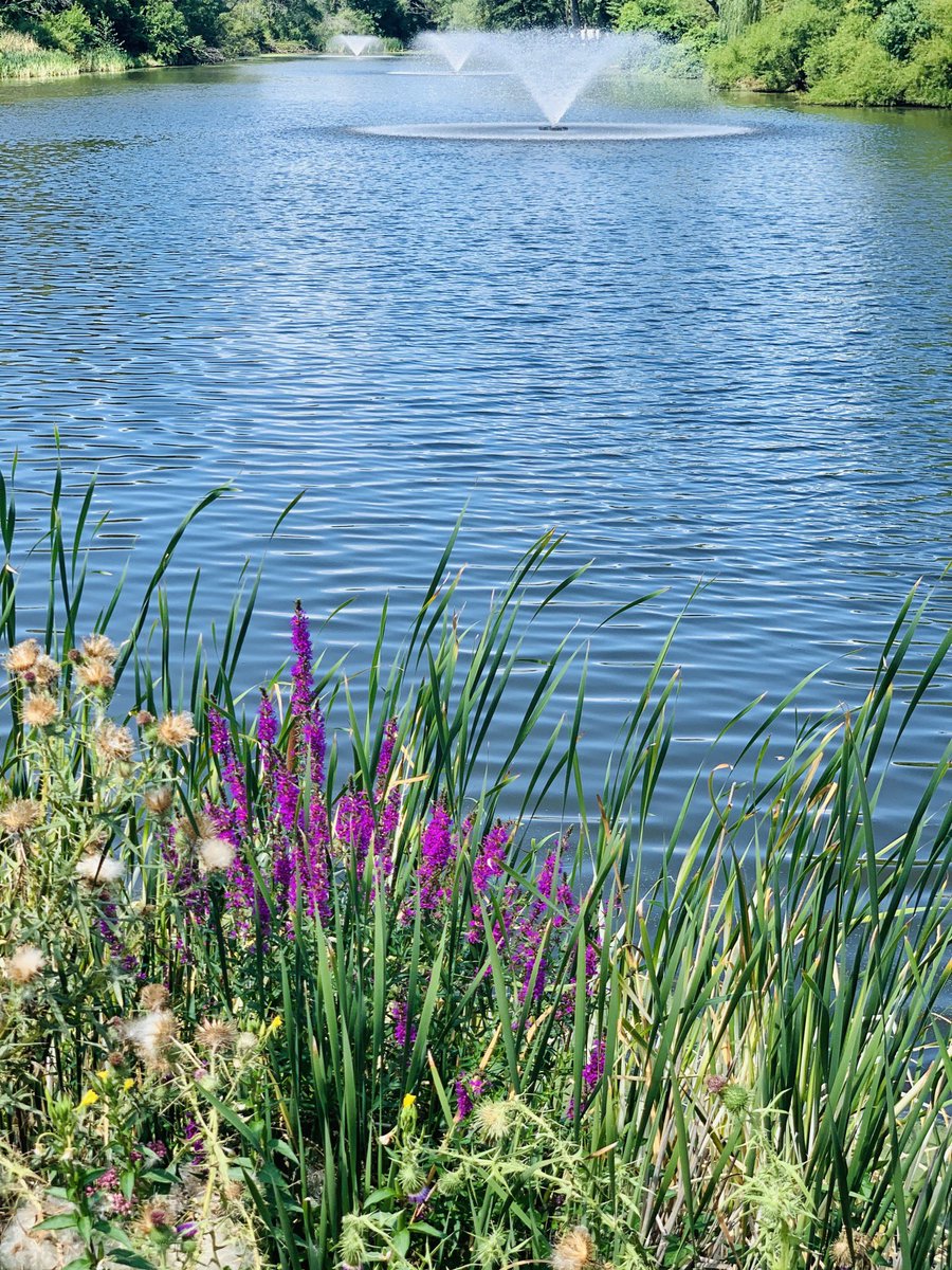 DiscoverUpNY's tweet photo. We’re not quite ready for #summer to end ☀️
.
.
.
#naturelovers #staycation #theresstilltime #discoverup #enjoytheview #518parks #planyourtrip
.
.
Find what you’ve been missing @DiscoverUpNY https://t.co/UKzQSlfwmB