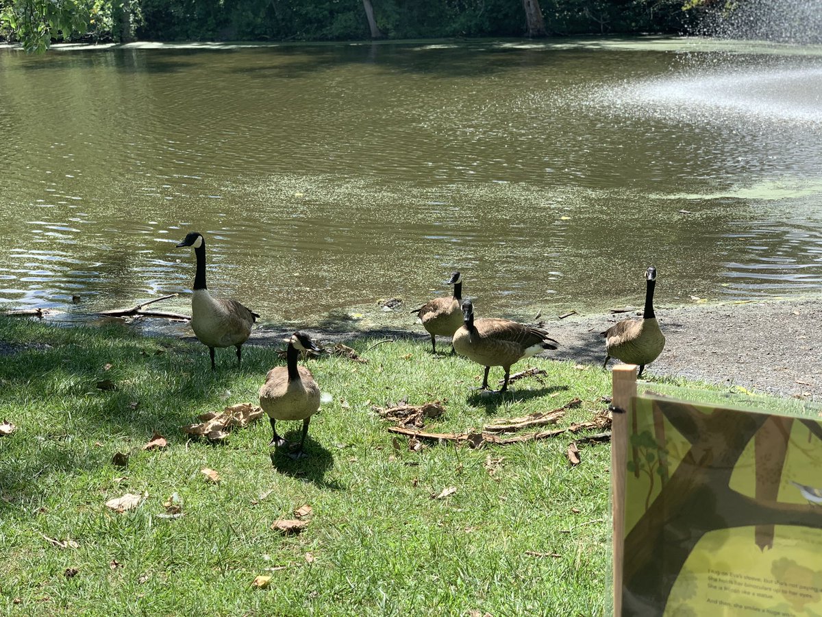 DiscoverUpNY's tweet photo. We’re not quite ready for #summer to end ☀️
.
.
.
#naturelovers #staycation #theresstilltime #discoverup #enjoytheview #518parks #planyourtrip
.
.
Find what you’ve been missing @DiscoverUpNY https://t.co/UKzQSlfwmB