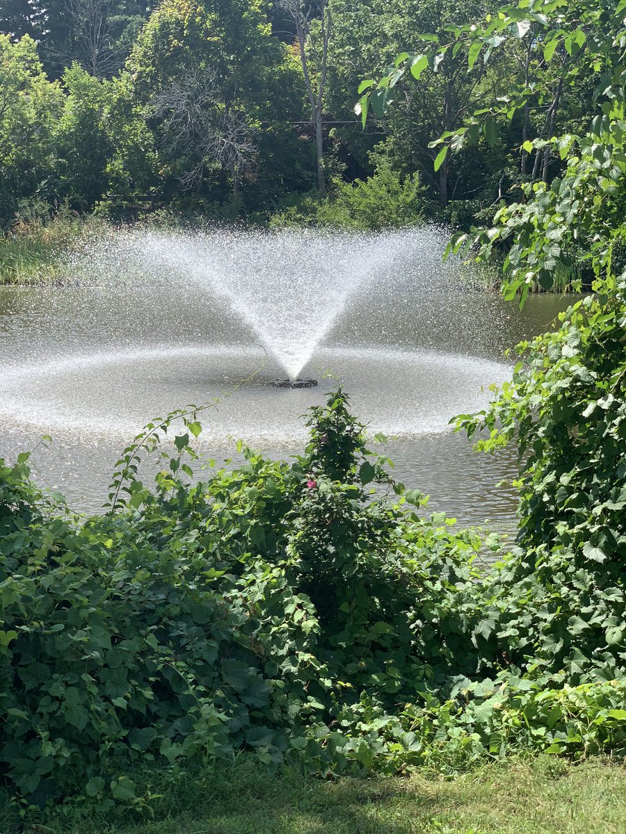 DiscoverUpNY's tweet photo. We’re not quite ready for #summer to end ☀️
.
.
.
#naturelovers #staycation #theresstilltime #discoverup #enjoytheview #518parks #planyourtrip
.
.
Find what you’ve been missing @DiscoverUpNY https://t.co/UKzQSlfwmB