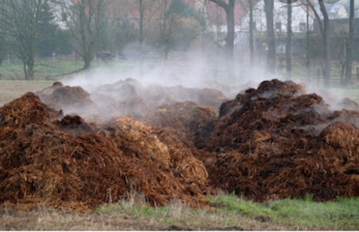 Saturday's PPV & manure.