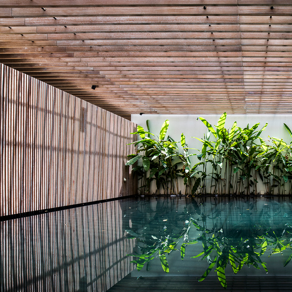 unioslight's tweet photo. #Awardwinning #SkyHouse by #MIADesignStudio sits in the shadows of towering skyscrapers. The inward-focused solution creates connections with natural elements through every corner of the house.

EXPLORE> 

#WorldArchitectureCommunityAwards #saigonarchitecture #eclipse https://t.co/fWzkRkf3m4
