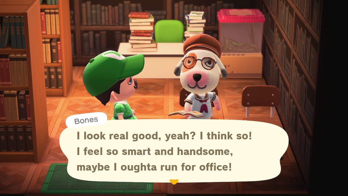 auroraknux's tweet photo. #Bones2020 #AnimalCrossing #ACNH #NintendoSwitch https://t.co/oUEVoUyakE