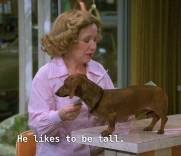 no context sitcoms ☮︎ 🍉 tweet media
