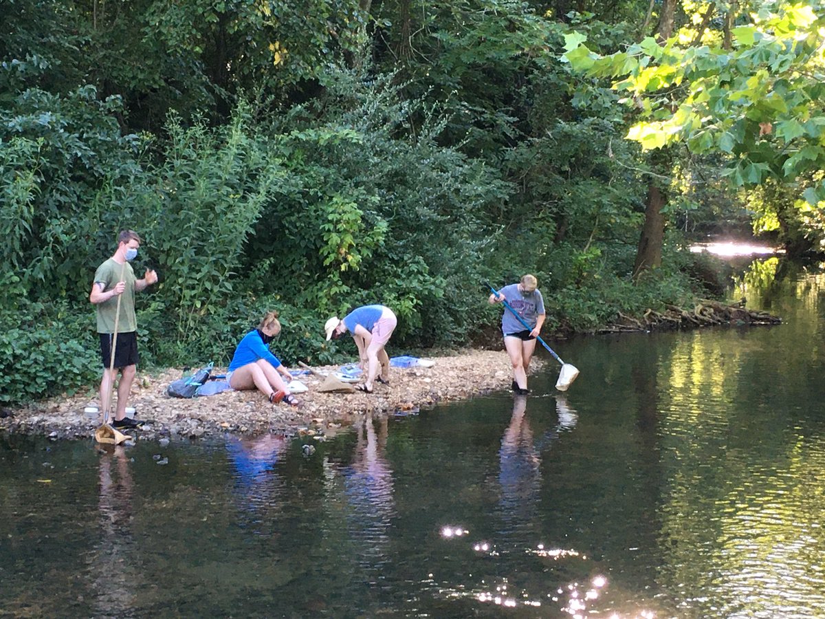 streambug's tweet photo. First Aquatic Entomology class field trip in this strange year @CNASatMSU . So many cool bugz to brighten our semester! https://t.co/f6IgsLhZ0K