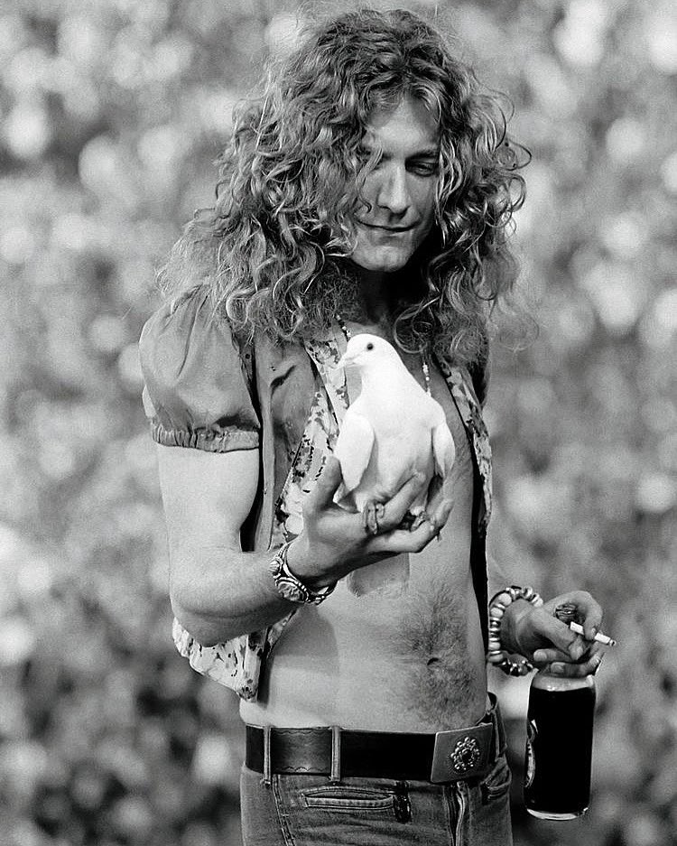 Happy Birthday to the eternal Robert Plant    