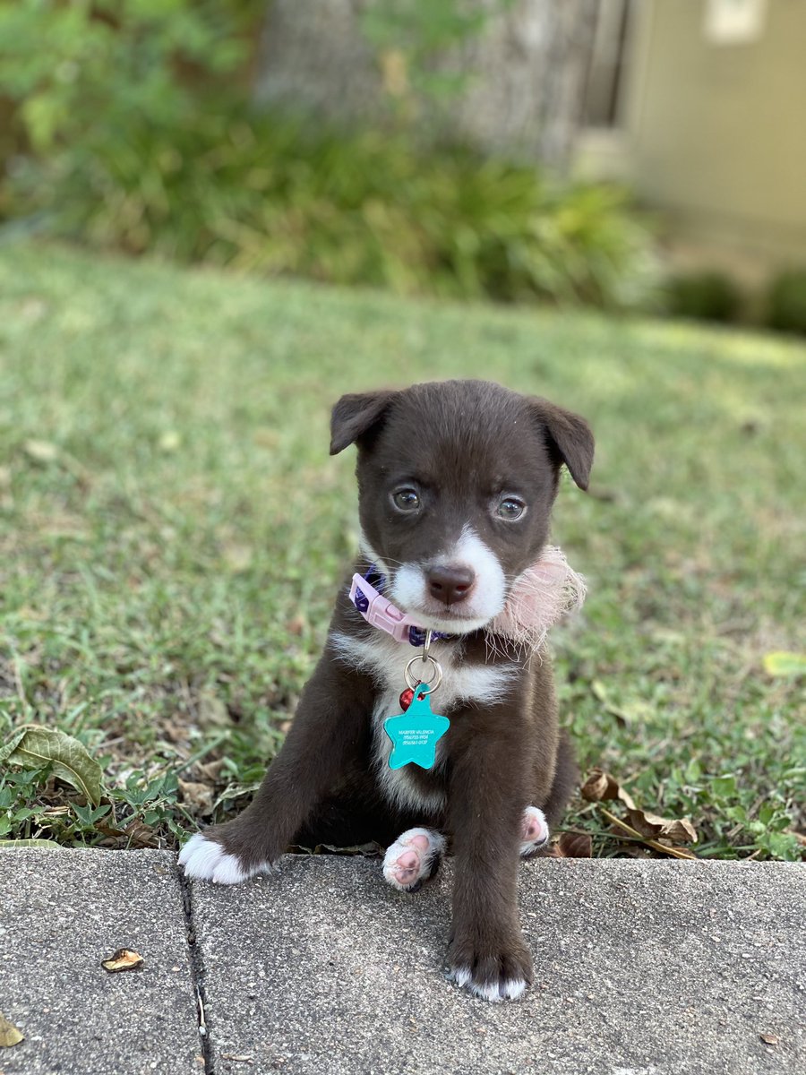 mfer_valencia's tweet photo. My baby is growing up too fast 🥺 https://t.co/8ywonxm07n