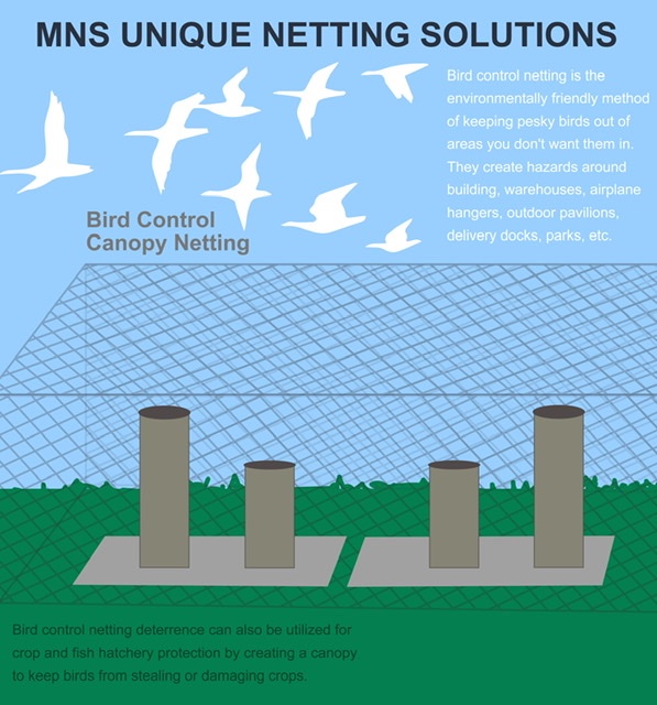 MidwestNetting's tweet image. There are many different uses for canopy netting systems and bird control is one of them! Let us know what kind of canopy netting system you need -our netting solutions are 100% custom designed to your needs! midwestnettingsolutions.com 847-729-NETS #protectivenetting