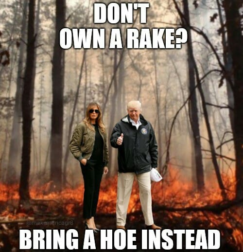 טוויטר \ Ryan Struyk בטוויטר: "Trump adds that the "floor" is covered with  "decades of leaves, dry leaves.""