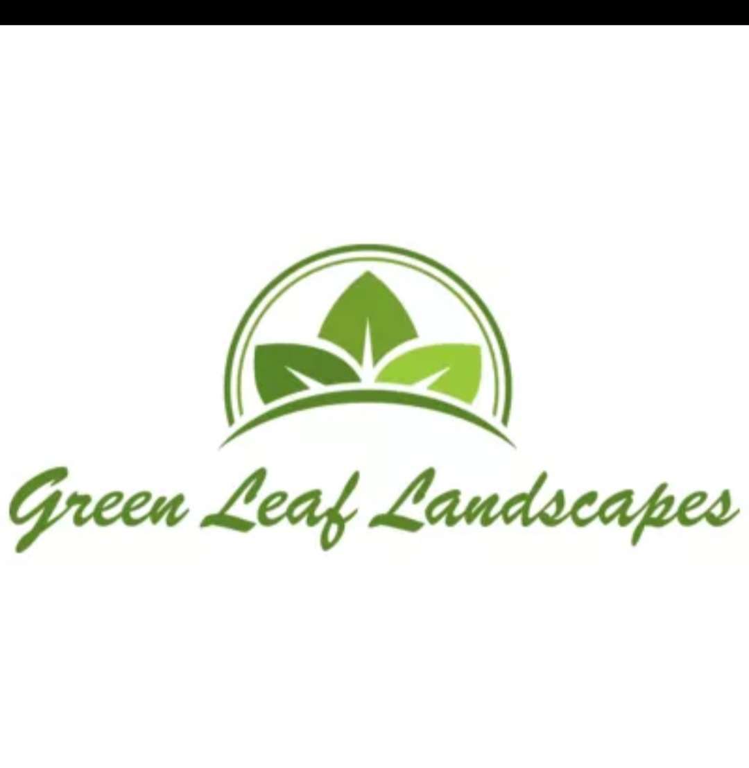 GreenLeaf300's tweet photo. We would like to welcome you all to our services for all your grounds maintenance.
10% off for all new bookings 

#localbusiness  #landscaper #wildflowers #newintown #greenleafsw https://t.co/z1fd40wdtz