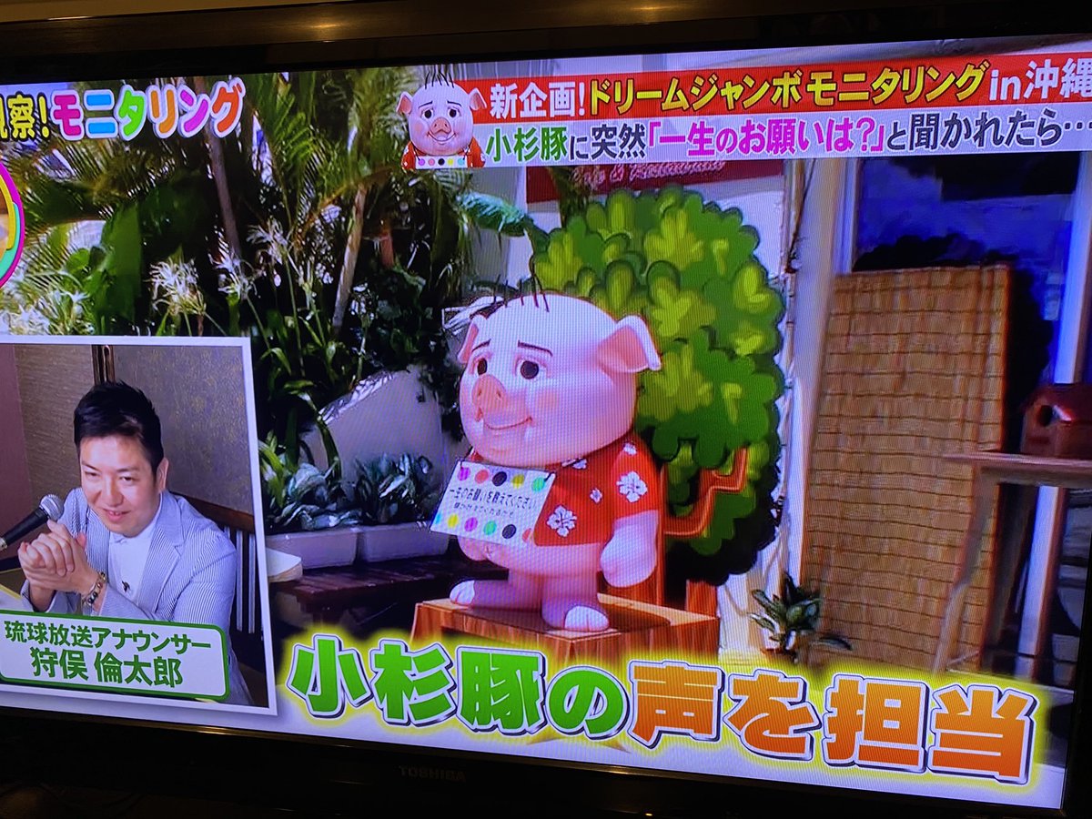 モニタリング の感情分析 Nyakone