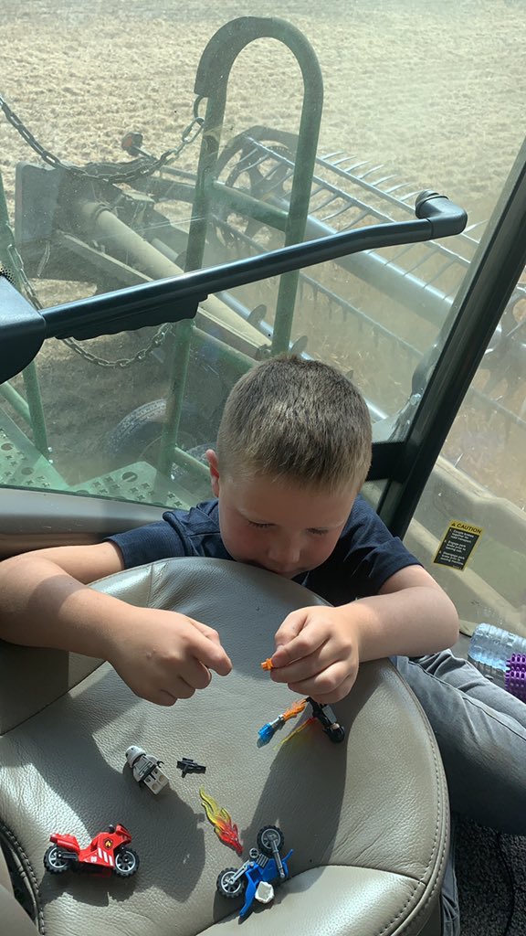 Chelsie Will tweet media