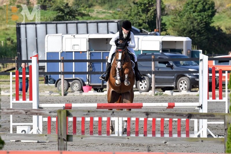 Equine Elite Ireland tweet media