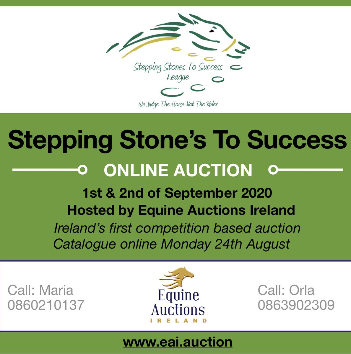 Equine Elite Ireland tweet media