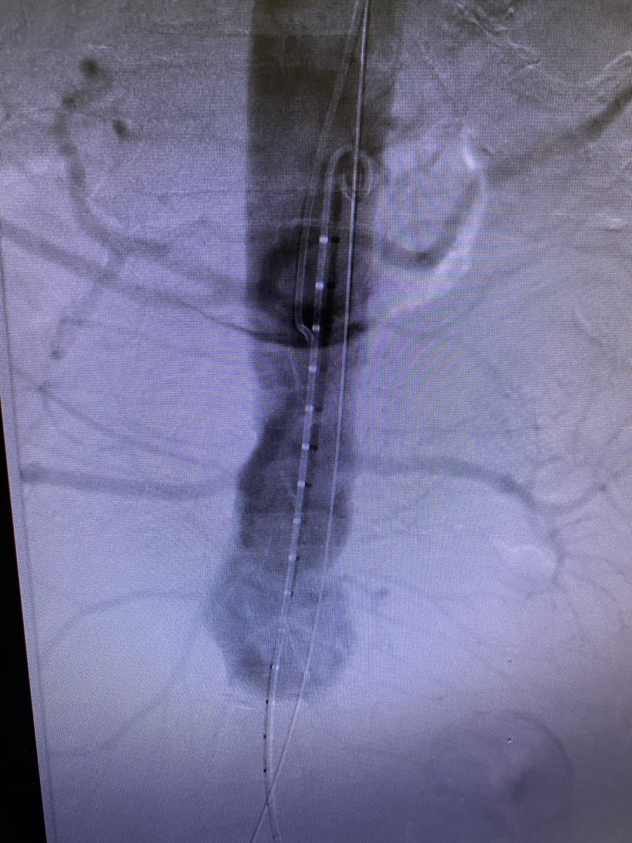 Mike Patel, MD tweet media