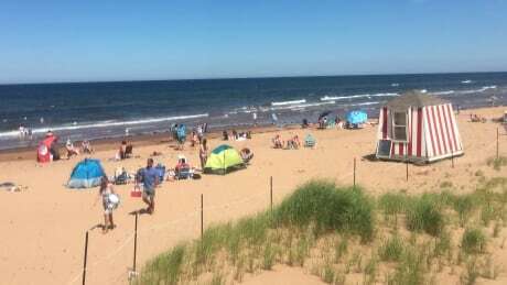 Parks Canada asking people to clean up their act in P.E.I. National Park ift.tt/3gn9O2s #pei