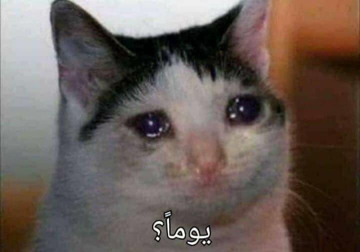 - هل بكيت يومًا بسبب مسلسل !
=..