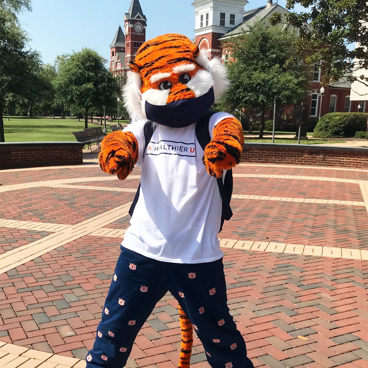 We are hiring for multiple positions in Ariccia and the hotel. Enjoy a great culture and being connected to the Auburn Family in a new way.  auhcc.com/careers.htm