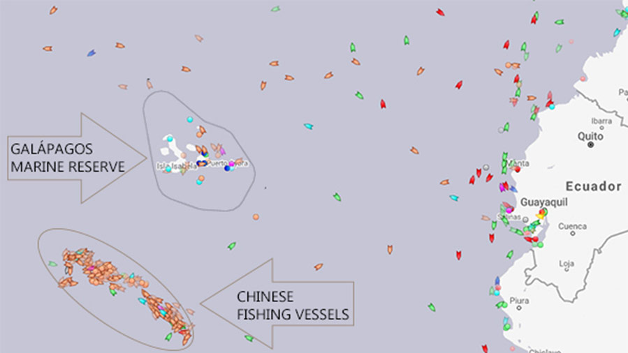 teamsharkwater's tweet photo. Hundreds of Chinese fishing boats are surrounding the Galapagos Marine Reserve threatening the area's sharks and other endangered species. Click to support a ban on fishing in the area near the islands: https://t.co/Mh9VgONBJZ #sosgalapagos #Sharkwater #RobStewart https://t.co/oHpge9EBfx
