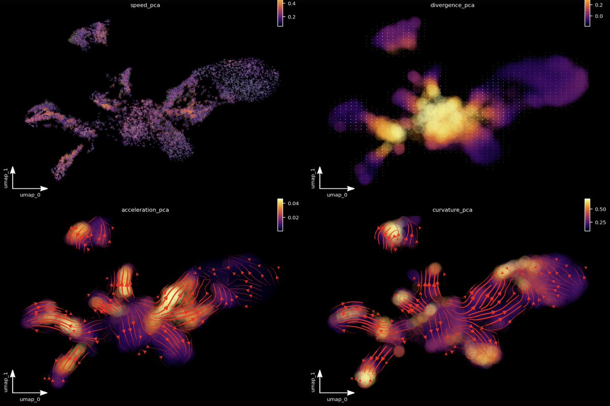 After 1200 + commits, I am proud to announce that dynamo is now on PyPi. See how we leverage it to go beyond RNA velocity to velocity / acceleration vector fields which then power us to calculate the potential, curl, divergence, curvature of single cells. pypi.org/project/dynamo…