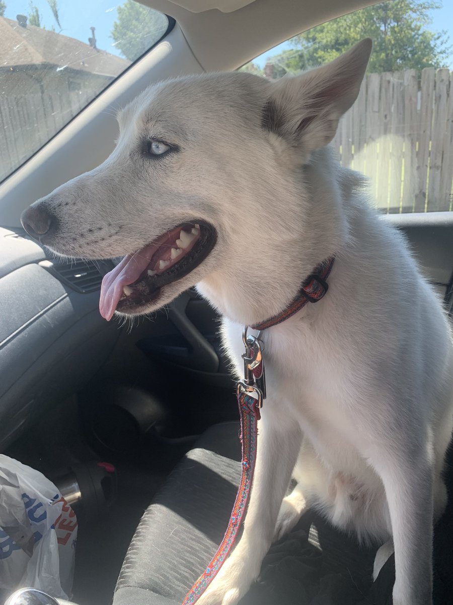 anwanamaker57's tweet photo. My little co pilot isn’t so little anymore :’) https://t.co/FVWZOmAYJw