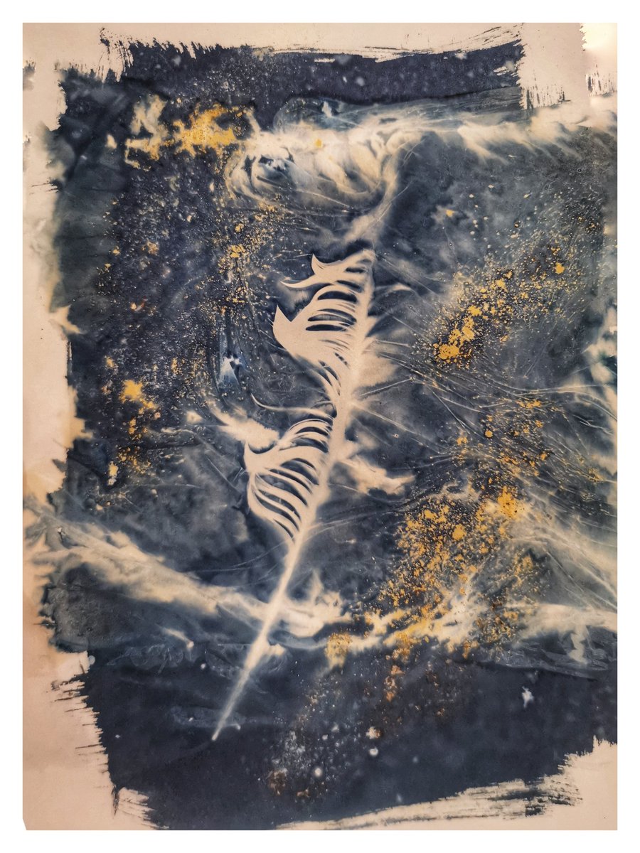 B0jimb0's tweet photo. A few of this week's cyanotypes. 
#cyanotype
#alternativeprocess
#art https://t.co/of27gQbY3H
