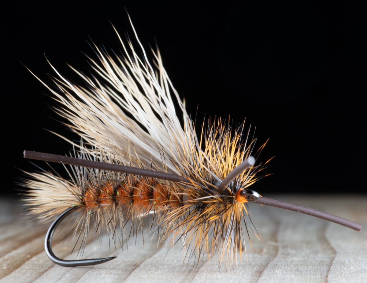 MidCurrent's tweet photo. Tie and image by Tim Sickles
#flytyingart #midcurrent #loonoutdoors #wetflyfishing #flytying #fishingflies #fishpondusa #flyfishingcolorado #flyfishingflies #flytyingbench #flyfishing #rainbowtrout #cutthroattrout #forgettheforecast #troutcandy https://t.co/0v2VdbwsLz