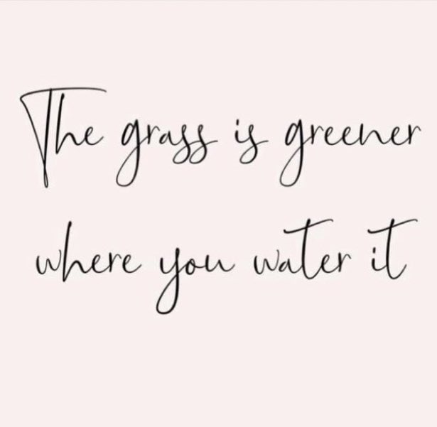 So true! So ready to see my students! So blessed to work alongside amazing educators! #springerspotlight