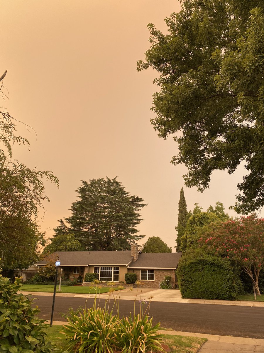 TrumanHugh's tweet photo. @ddale8 Fuck trump! RTing new pics of my fire/smoke filled sky frm days of #RedBankFire. Trust when I say that all my neighbors and friendsโwhose every last possession is at riskโare always mindfl, always wary of the NATURAL risks of fire. We may not rake forests, we do lots to avoid it! https://t.co/cHNhegkrLQ