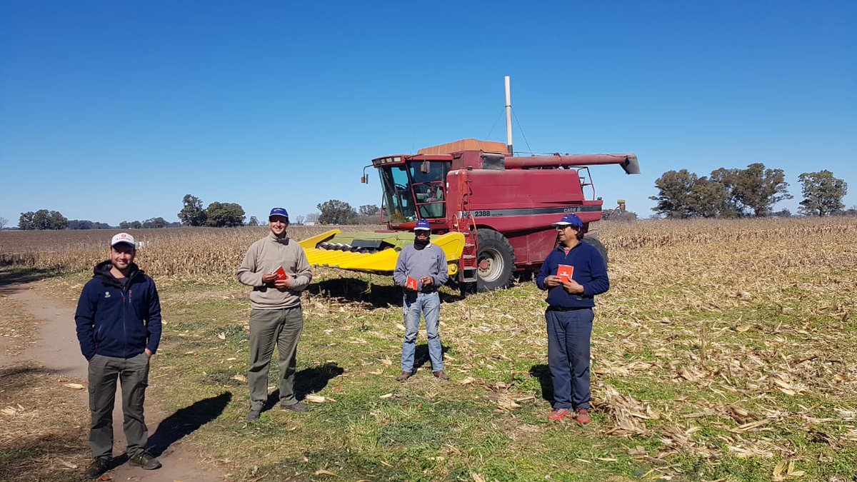 Sem_Illinois's tweet photo. Hoy cosechamos el ensayo de densidad en #Maiz 🌽 tardío en la localidad de Bolivar.
Híbridos: #I550 VT3Pro #I799 VT3Pro
Distribuidor: Eduardo González Carona. @ypfagro 🤝 https://t.co/nWGIzZrpak