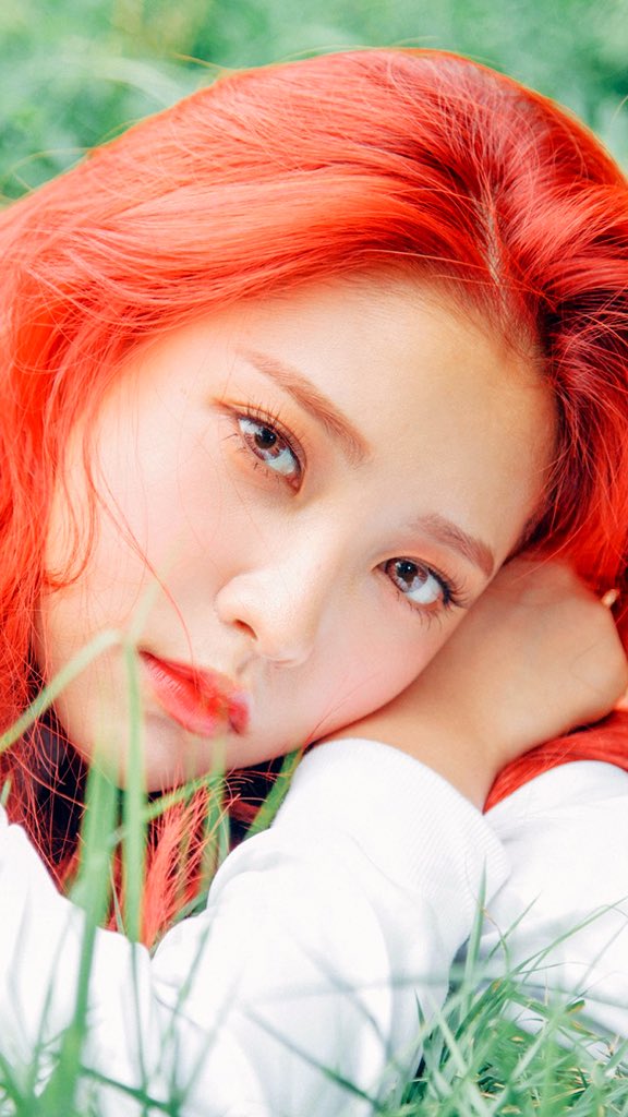 yeri pics 𐙚 tweet media