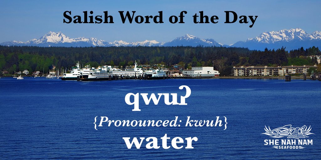 How much do you know about the Salish language? Here’s one word that ties into what we do at She Nah Nam Seafood.
#Salish #NativeAmericanLanguages #TribalLanguages