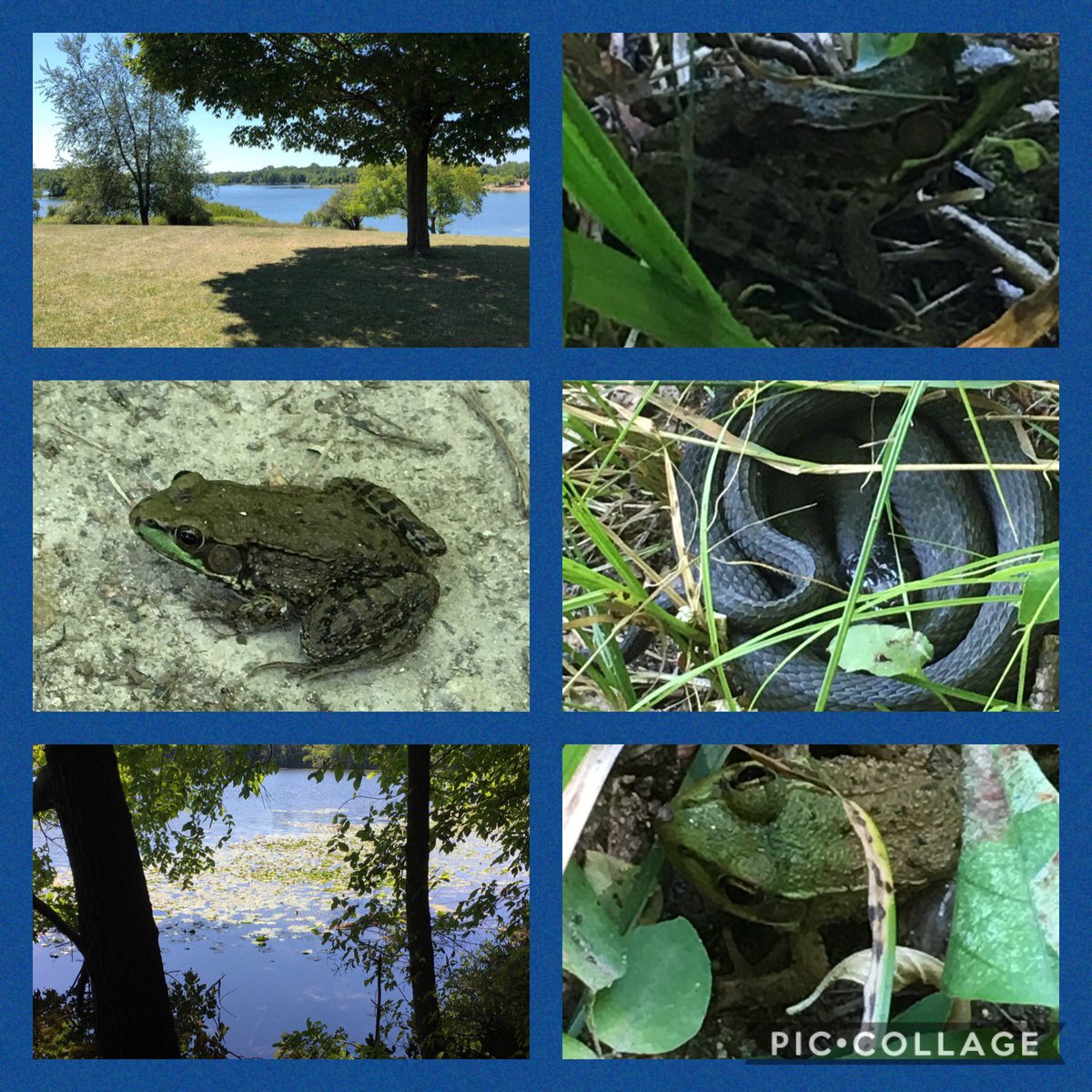 World of Wonder tweet media