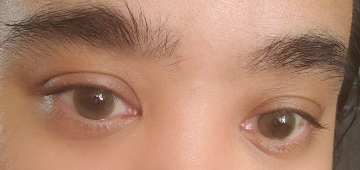 xosweetdevilxo's tweet photo. Got new contacts again from @ttdeye_colors! The color is Eternity Green~

Only natural eye colors left to experiment at this point are blue, amber (which is really rare IRL), and hazel. https://t.co/hxgZoUQZG5